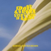 Everything in Motion (feat. Indra Dunis) [Kornél Kovács Remix] artwork