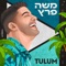 טולום artwork