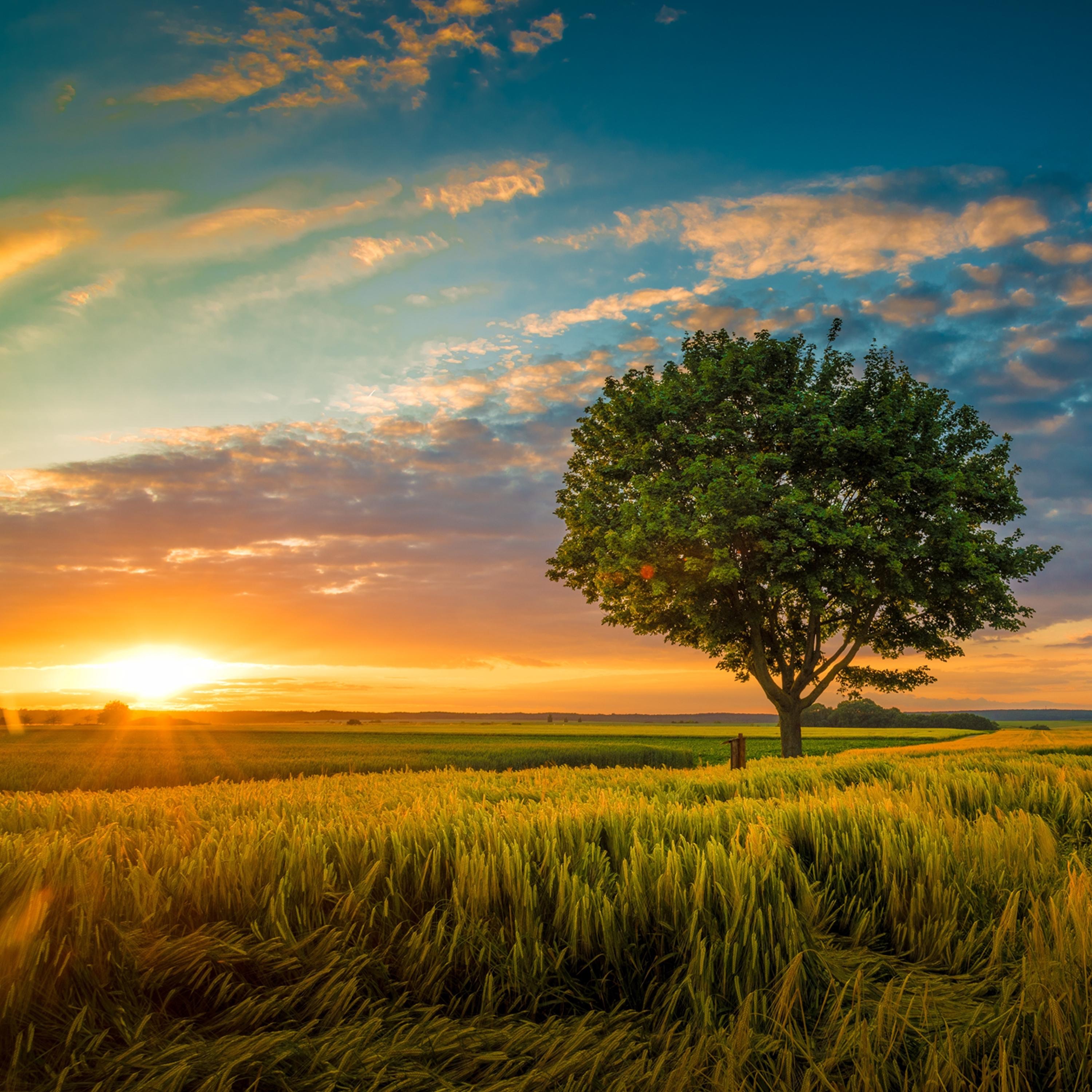 הרב יגאל כהן - הערוץ הרשמי - הלכה יומית עם הרב יגאל