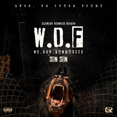 We Doh Fantasize (W.D.F) (feat. Sin Sin) - Single