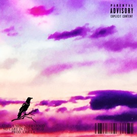 No Care In the World Status Misunderstood