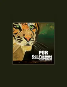 聆聽 PGR、觀看音樂影片、閱讀小傳、查看巡演日期等！