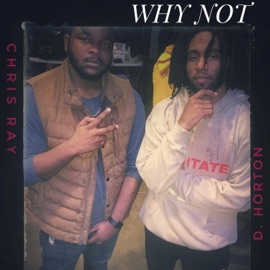Why Not (feat. D. Horton) Chris Ray's Music