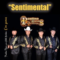 Sentimental - Single - Paulino Rosas Y Su Estilo Norteño