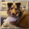 Sadie - Jody Rech lyrics