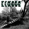 Magic Arrow - Timber Timbre lyrics