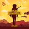 Desperados (feat. Anica Russo) - The Him lyrics