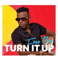 Turn it Up (2021 Remastered Version) - Single - Freeboy