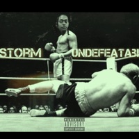Undefeatable - Single - Money Krazy Storm