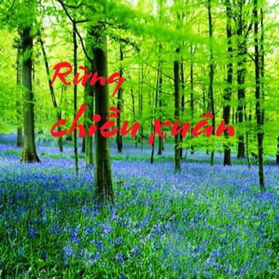 Rừng Chiều Xuân