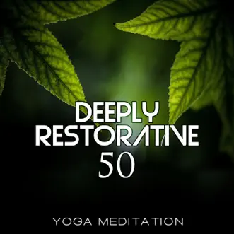 Sexual Healing Music by Rebirth Yoga Music Academy song reviws