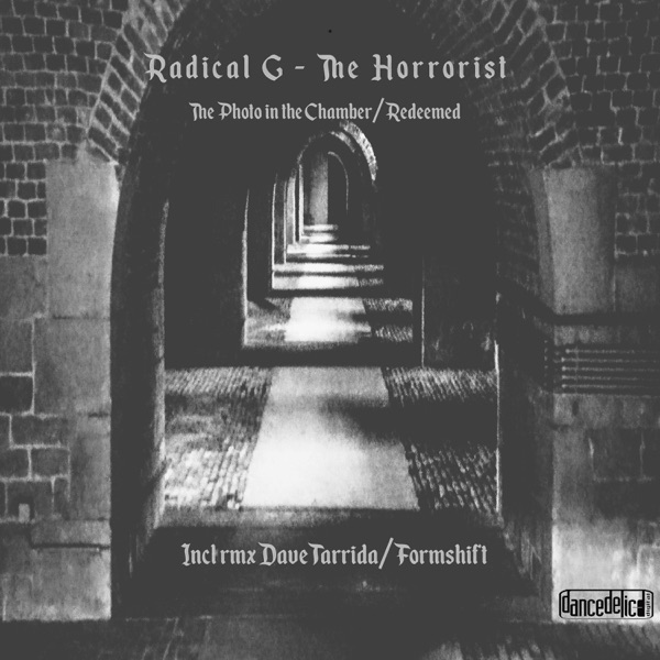 The Photo in the Chamber - EP