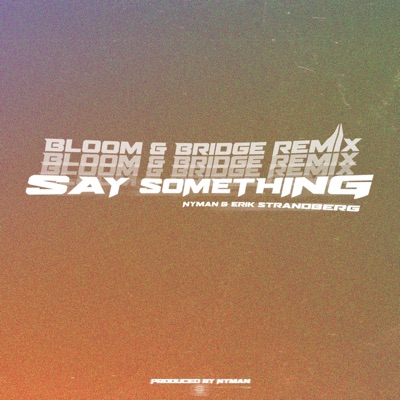 Say Something (Bloom & Bridge Remix) - Single