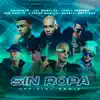 Te Bote Remix