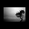 Desvíos - Sin Darnos Cuenta