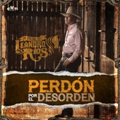 Perdón por el Desorden (Norteño - Mariachi) artwork