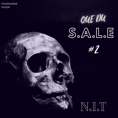 Que du sale 2 - Single