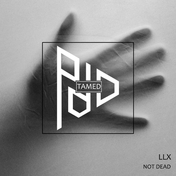 Not Dead - Single