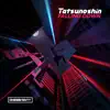 Falling Down (Radio Edit)