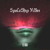 Spaceship Vibes artwork