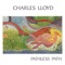 Koto - Charles Lloyd lyrics