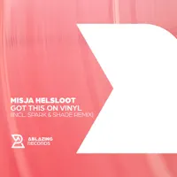 Got This On Vinyl (Extended Mix) — Misja Helsloot