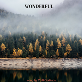 Wonderful - Torfi Olafsson