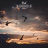 Birds Sounds To Sleep To - EP