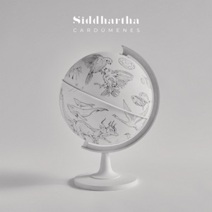 Cardúmenes - Single