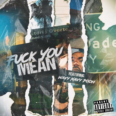 Fuck You Mean (feat. Wavy Navy Pooh) - Single