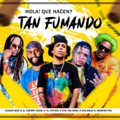 Hola! Que Hacen? Tan Fumando (Remix) artwork