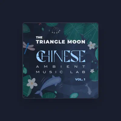 Listen to The Triangle Moon, watch music videos, read bio, see tour dates & more!