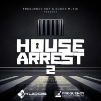 Desi Power (feat. Channi Nattan & Inderpal Moga) - Single - DJ Harv