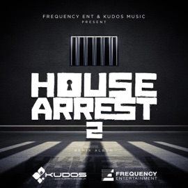 Desi Power (feat. Channi Nattan & Inderpal Moga) DJ Harv