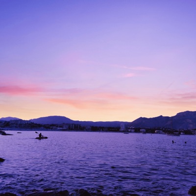 I Tried To Make Small Talk In the Elevator At Work But Nobody Responded So Now I've Run Away To Be Alone In Paradise - Single