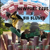 NewpReds&BigBlunts - Single - $BA$$MANE