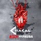 Amor en Pausa - Chacal lyrics