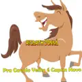 Cavalo