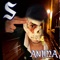 Chat noir - S lyrics