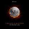 Visions - Single