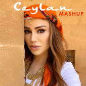 Zeyne / Nabe / Rındamin / Derê Mala Keçıke Mashup (Mashup) - Ceylan