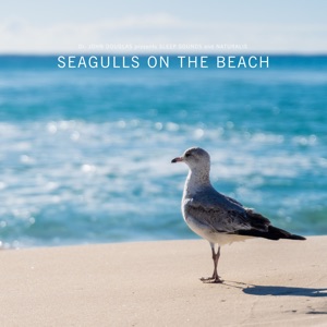 Seagulls on the Beach