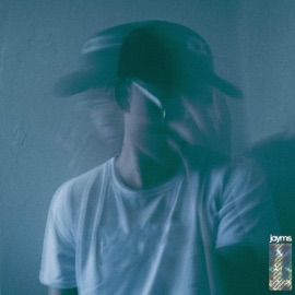 Too Many Chances Jayms