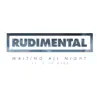 Rudimental - Waiting All Night (Kidnap Kid Remix)