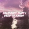 Somebody That I Used To Know (feat. Ege Balkiz) - Parah Dice lyrics