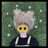 Hazy Daisies