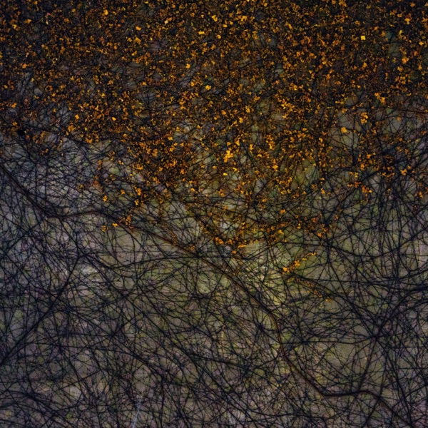 Unbound