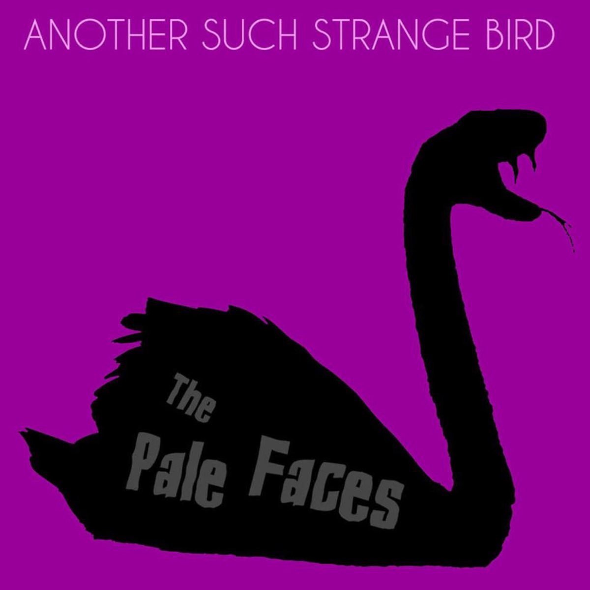 Super Birds обложка. Birdy Strange Birds Ноты. Kuma the Bird обложки песен. Paleface logo. Such another