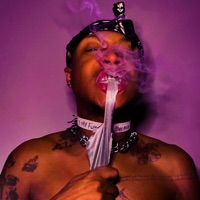 Zooted - Single - Divoli S'vere