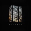 Two cover art